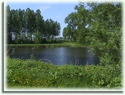 Weeltje de Waal bij Heinkenszand