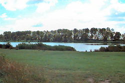 Stelleplas