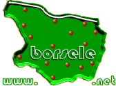 Logo www.borsele.net