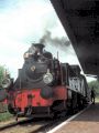 De stoomtrein op het station van Hoedekenskerke