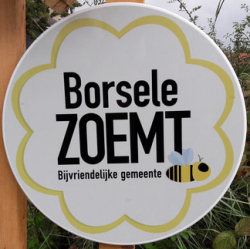 Borsele bijen gemeente