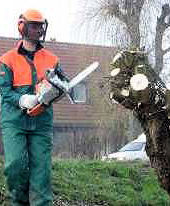 Taakstraf bij de groenvoorziening