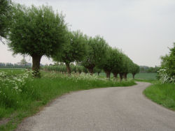 Autoluwe Zak van Zuid-Beveland